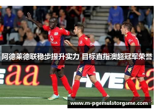 阿德莱德联稳步提升实力 目标直指澳超冠军荣誉