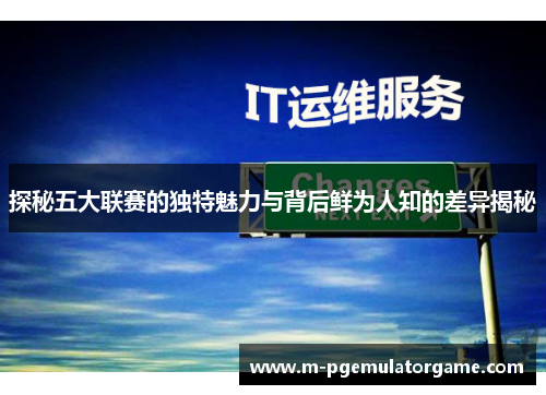 探秘五大联赛的独特魅力与背后鲜为人知的差异揭秘