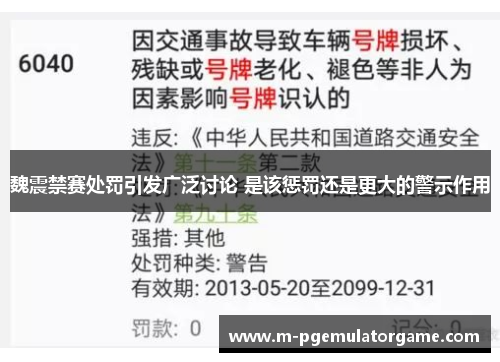 魏震禁赛处罚引发广泛讨论 是该惩罚还是更大的警示作用